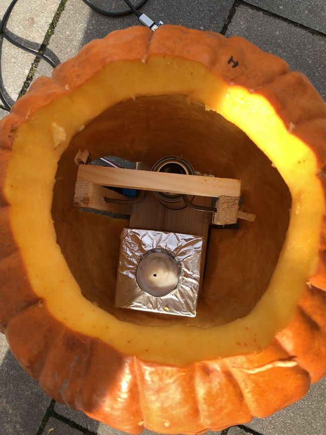 pumpkin