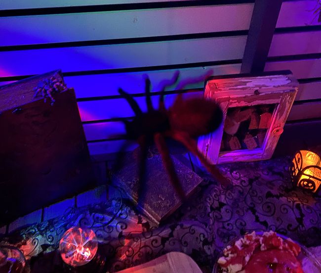 The Moving Spiders